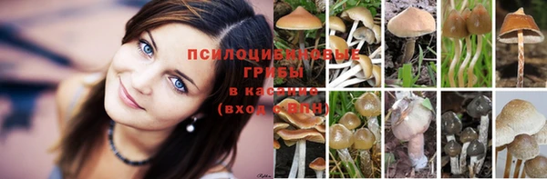 марки nbome Костерёво