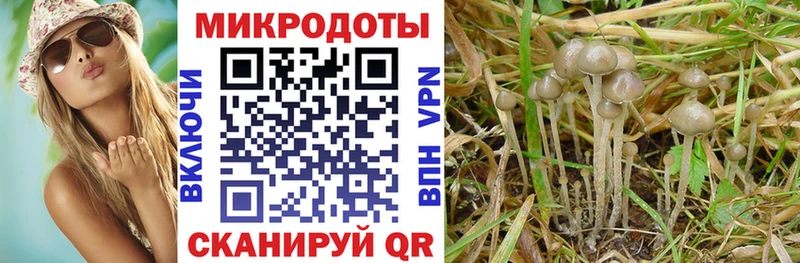 Псилоцибиновые грибы Magic Shrooms  Кашин 