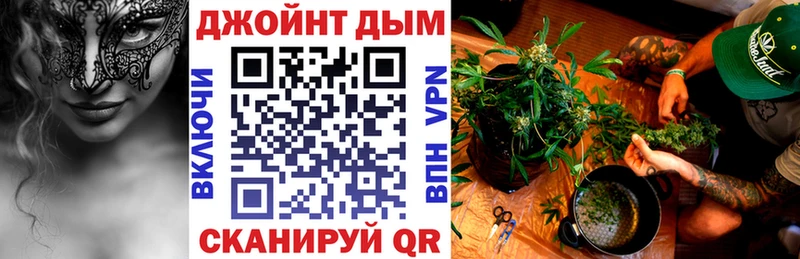 Бошки марихуана VHQ  кракен маркетплейс  Кашин 